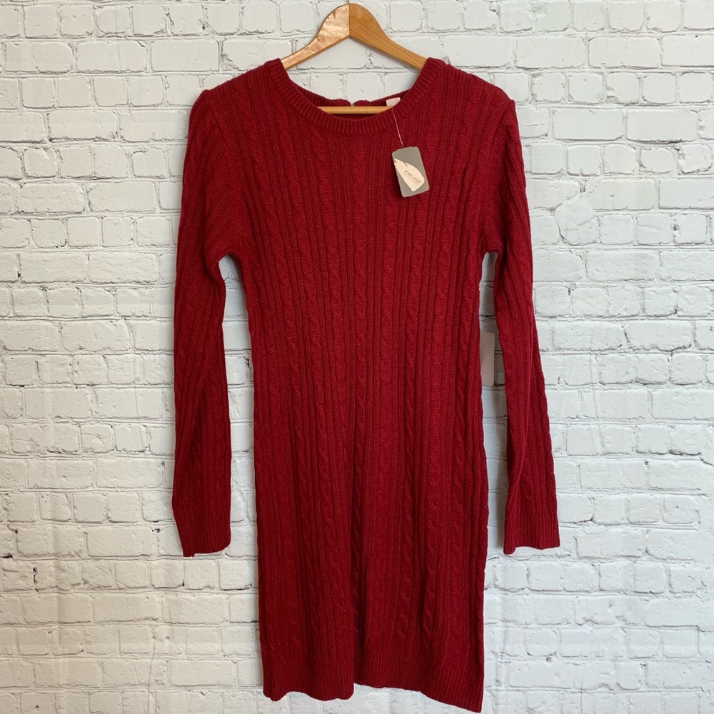 NWT🖤 Burgundy sweater dress from Forever 21
